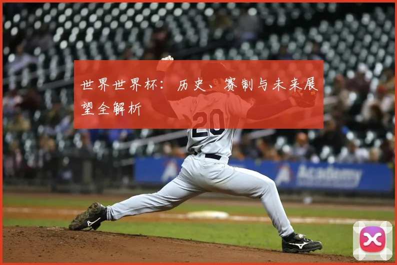 世界世界杯：历史、赛制与未来展望全解析